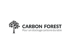 Carbon Forest